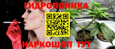 СК Кунгур