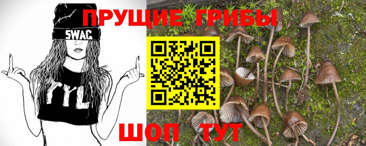 Галлюциногенные грибы Cubensis Таганрог