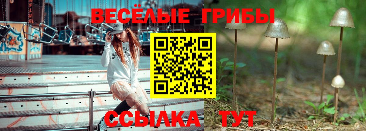 Галлюциногенные грибы ЛСД  Вход с VPN  Таганрог 